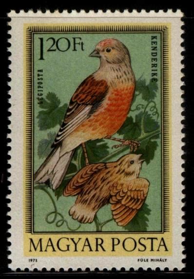 postage stamps hungary birds